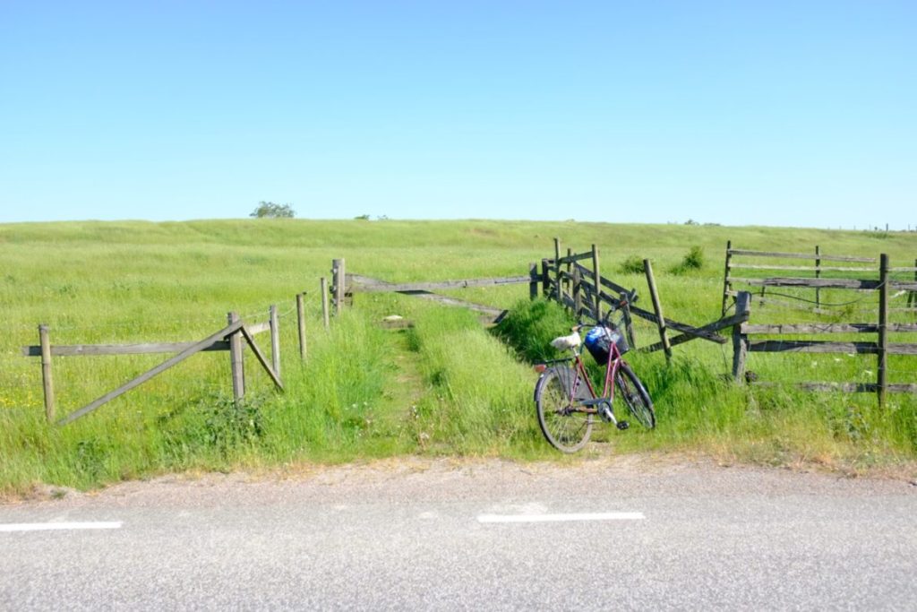 Green Woods and Stone Ships: The Second Skåne Pilgrimage